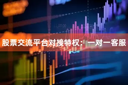 股票交流平台对接特权：一对一客服