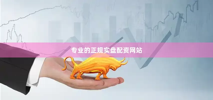 专业的正规实盘配资网站